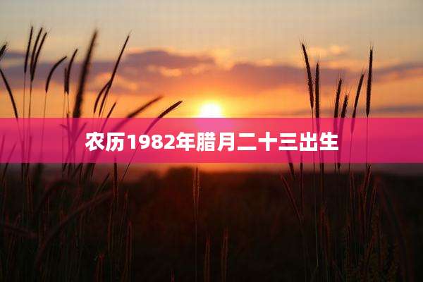 农历1982年腊月二十三出生