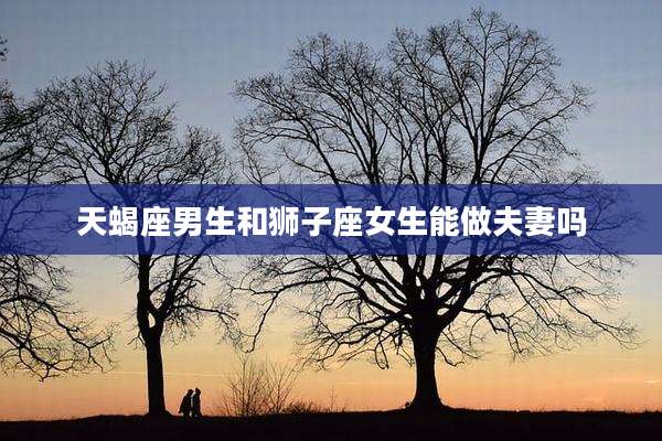 天蝎座男生和狮子座女生能做夫妻吗