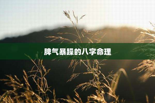 脾气暴躁的八字命理