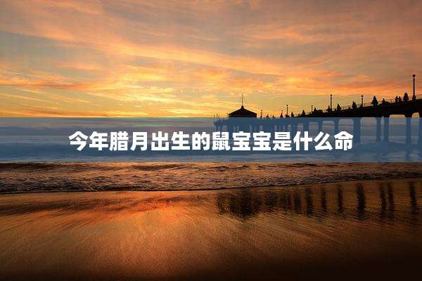 今年腊月出生的鼠宝宝是什么命