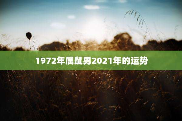 1972年属鼠男2021年的运势