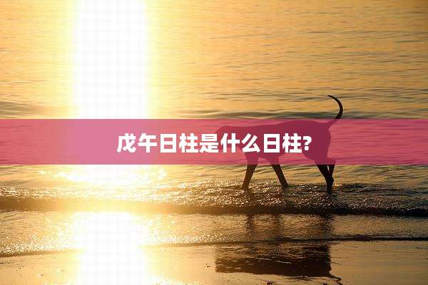戊午日柱是什么日柱?