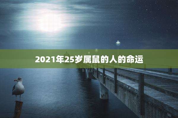 2021年25岁属鼠的人的命运