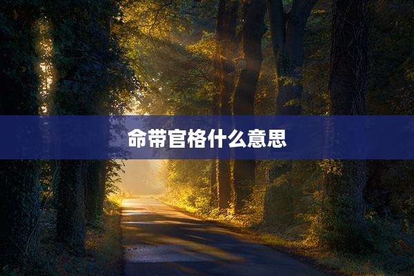 命带官格什么意思