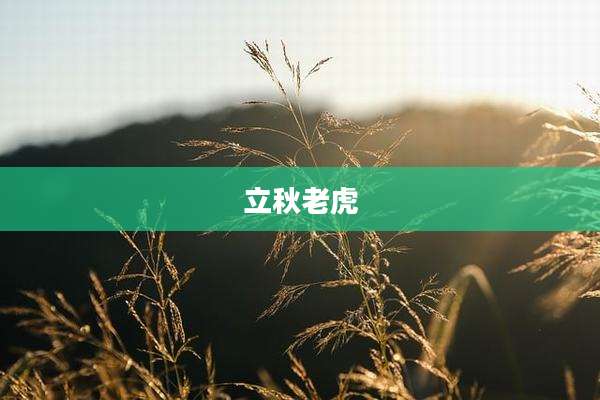 立秋老虎