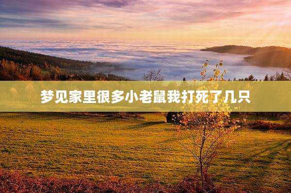 梦见家里很多小老鼠我打死了几只