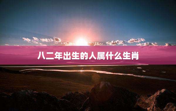 八二年出生的人属什么生肖