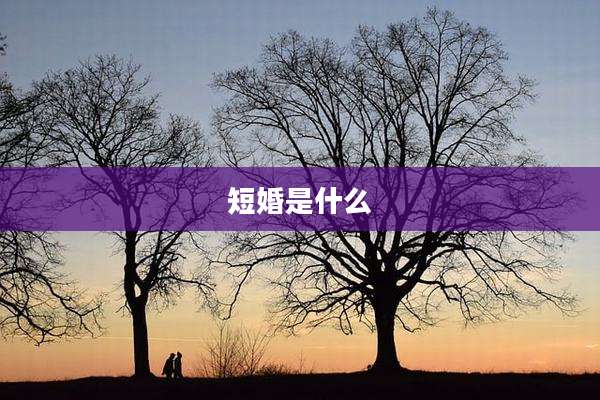 短婚是什么