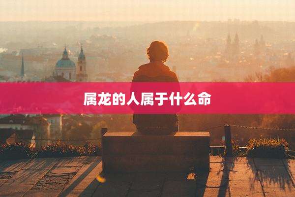 属龙的人属于什么命