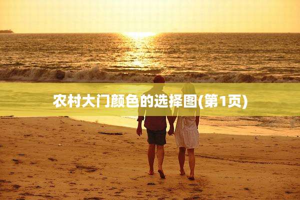 农村大门颜色的选择图(第1页)
