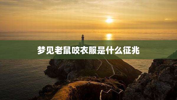 梦见老鼠咬衣服是什么征兆