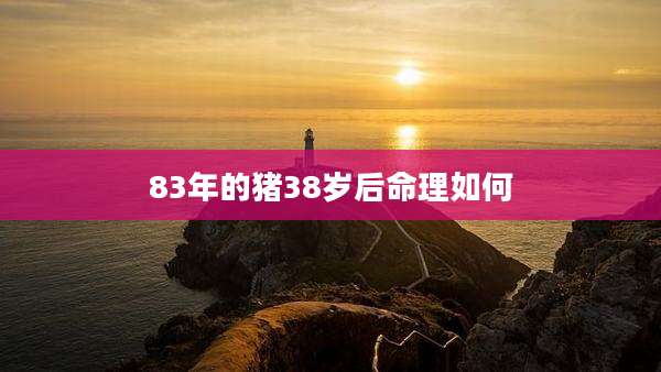 83年的猪38岁后命理如何