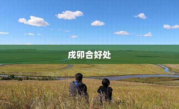 戌卯合好处