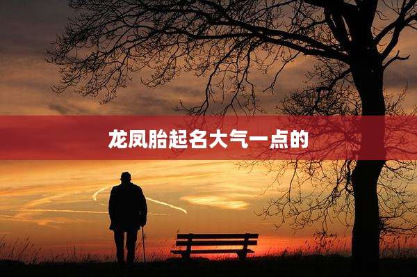 龙凤胎起名大气一点的