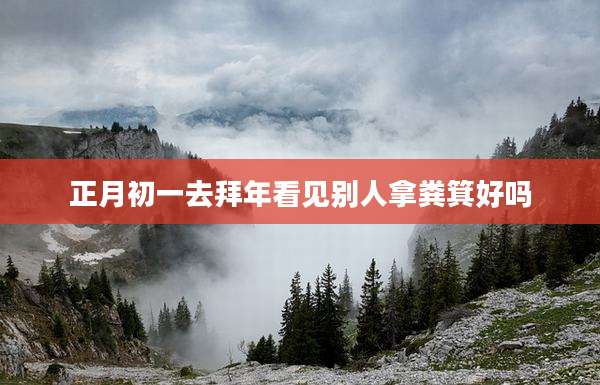 正月初一去拜年看见别人拿粪箕好吗