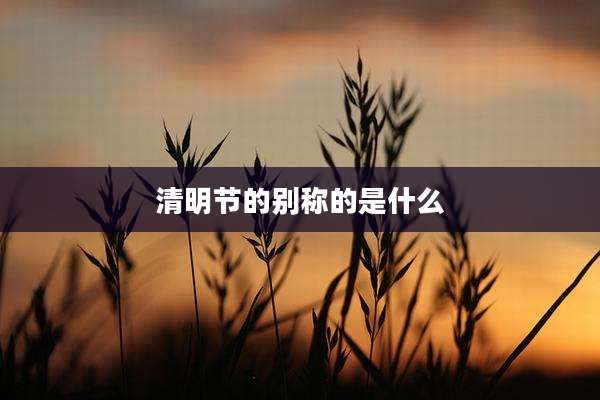 清明节的别称的是什么