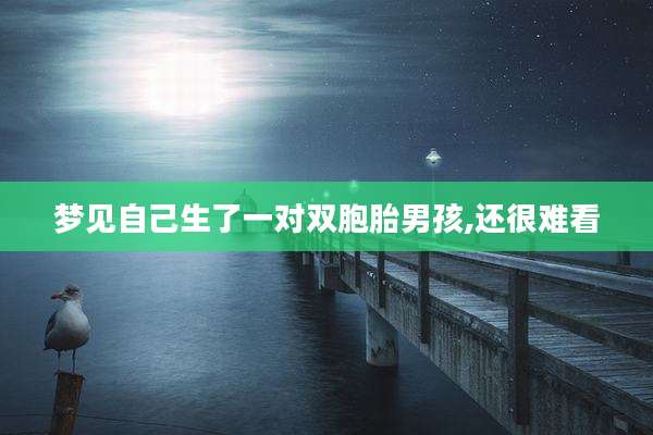 梦见自己生了一对双胞胎男孩,还很难看