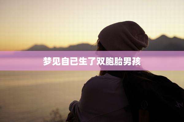 梦见自已生了双胞胎男孩