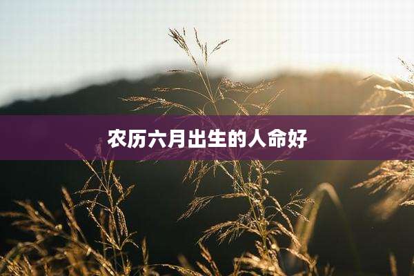 农历六月出生的人命好