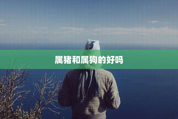 属猪和属狗的好吗