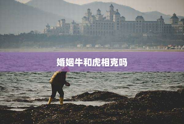 婚姻牛和虎相克吗