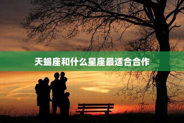 天蝎座和什么星座最适合合作