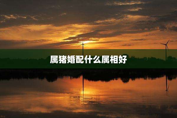 属猪婚配什么属相好