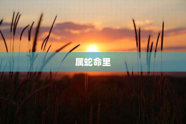 属蛇命里