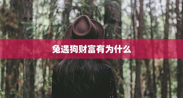 兔遇狗财富有为什么