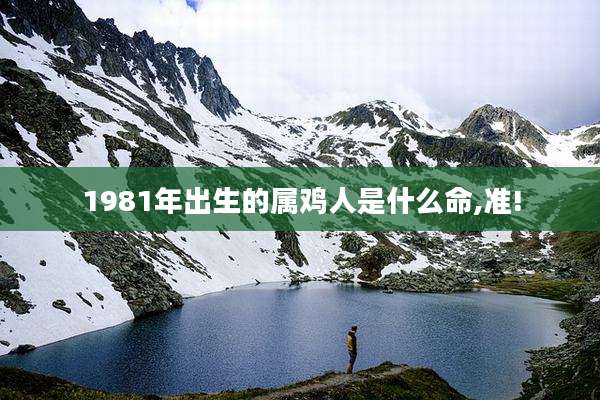 1981年出生的属鸡人是什么命,准!