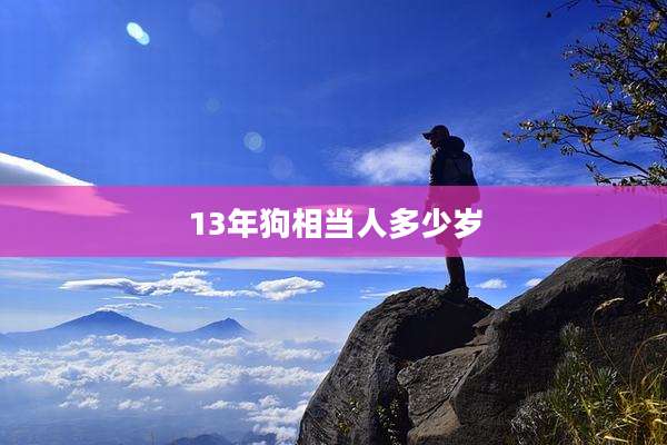 13年狗相当人多少岁