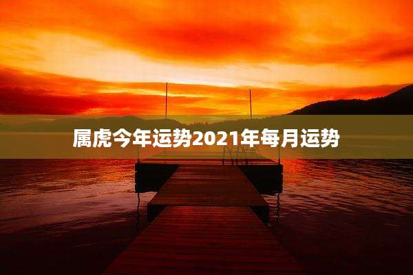 属虎今年运势2021年每月运势