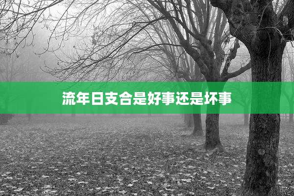 流年日支合是好事还是坏事