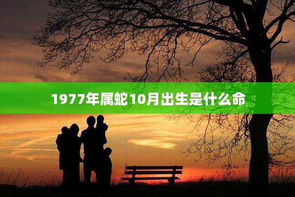 1977年属蛇10月出生是什么命