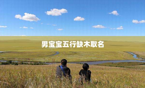 男宝宝五行缺木取名