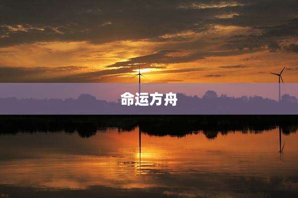 命运方舟