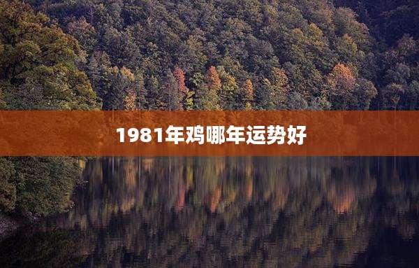 1981年鸡哪年运势好