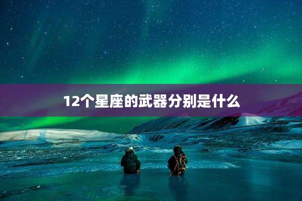 12个星座的武器分别是什么