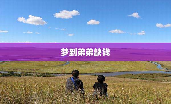 梦到弟弟缺钱