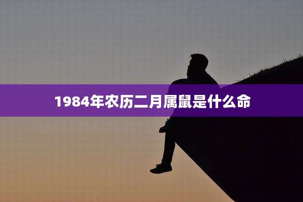 1984年农历二月属鼠是什么命