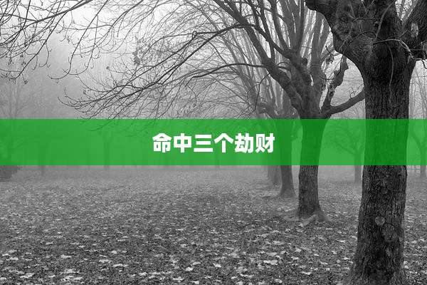 命中三个劫财