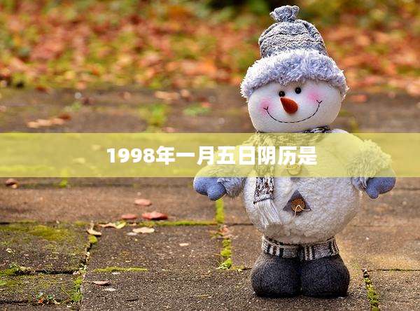 1998年一月五日阴历是