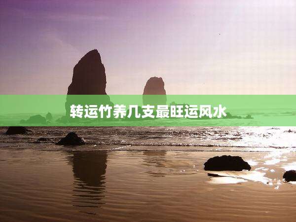 转运竹养几支最旺运风水