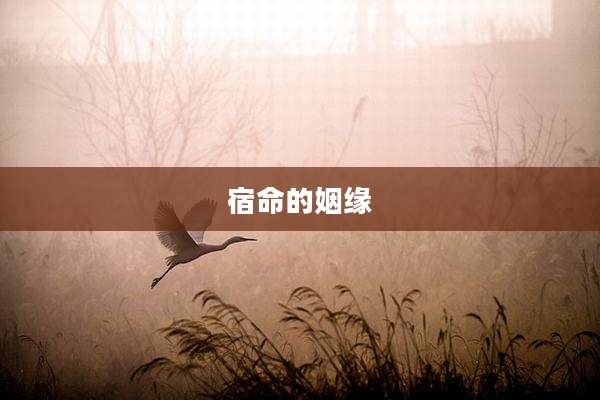 宿命的姻缘