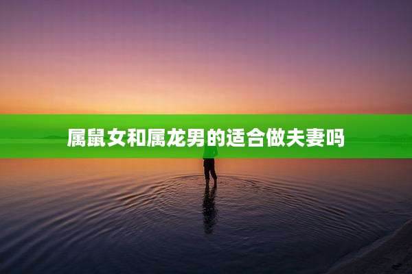 属鼠女和属龙男的适合做夫妻吗