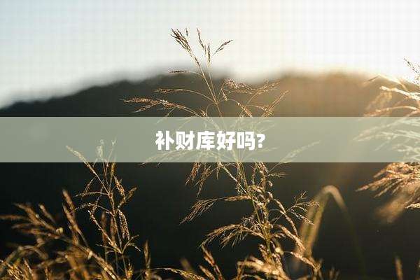 补财库好吗?