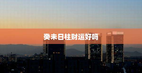 癸未日柱财运好吗