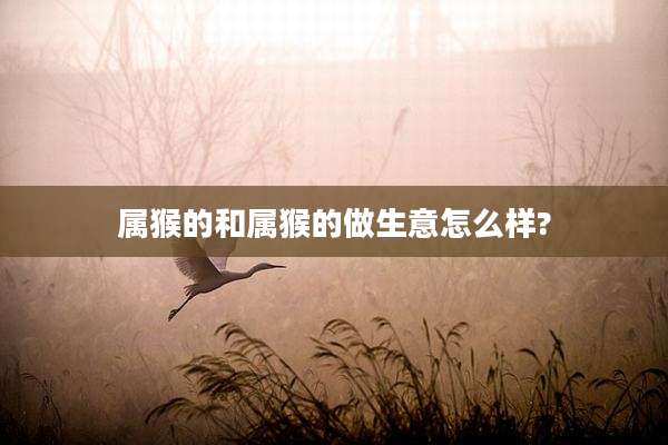 属猴的和属猴的做生意怎么样?