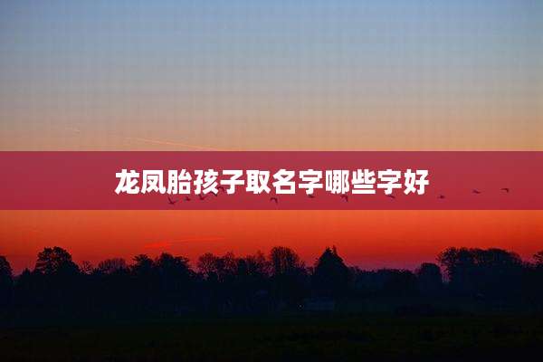 龙凤胎孩子取名字哪些字好