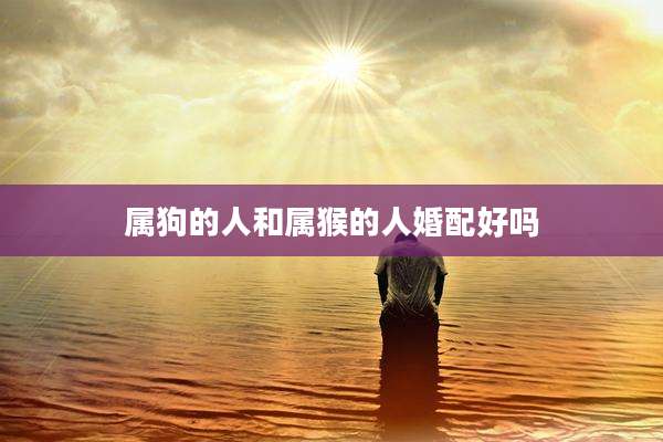 属狗的人和属猴的人婚配好吗
